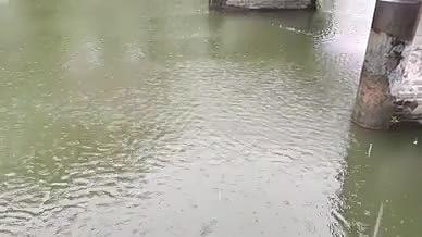 凉亭湖水雨天雨水拍摄自然风光视频的预览图